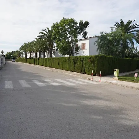 Buganvilla *